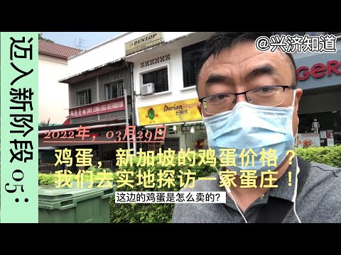 迈入 新阶段05：新加坡鸡蛋价格上涨。3月29日，我们实地去买鸡蛋！无论与疫情共存的原因，还是俄乌战争导致，包括鸡蛋价格在内的物价上涨只是数值多少而已。无论中国还是新加坡，每天都有人在各种平台说物价。