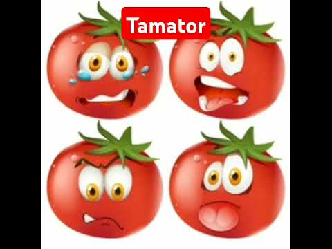 Aha Tamator Bade Mazedar |🍅🍅🍅 Tamator vedio 🍅🍅🍅