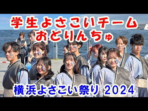 【4K】「学生よさこいチームおどりんちゅ」＠横浜よさこい祭り2024