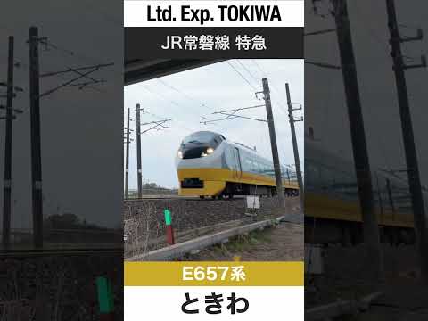 【リバイバルカラー】内原駅付近を走行するJR常磐線特急ときわ【電車が大好きな子供向け】Japanese Trains for Kids - Limited Express TOKIWA