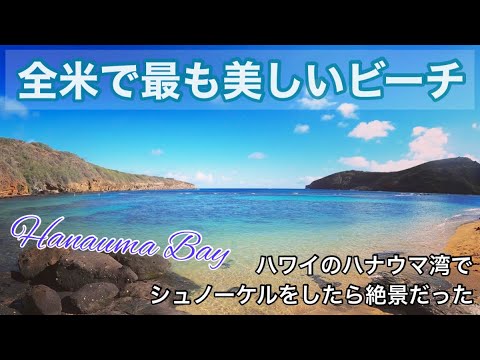 【Hanauma Bay】全米で最も美しいビーチ、ハワイのハナウマ湾に行ってみた