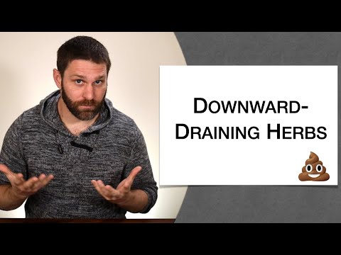 🌿 Herbology 1 Review - Downward-Draining Herbs (Extended Live Lecture)