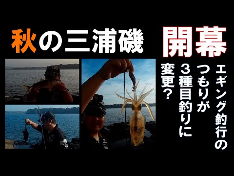 【三浦】地磯エギングでアオリイカ！イナダの群れに遭遇！ロックフィッシュでフィッシュ！３種目釣り？