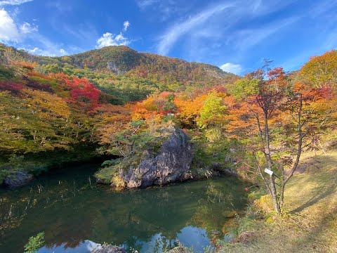 佐渡の紅葉。佐渡、30日は晴れ☀️山の紅葉🍁は見頃を迎えました。紅葉山と大佐渡スカイラインへ行ってきました。とてもきれいです！白雲台のラーメンも最高にうまい😋