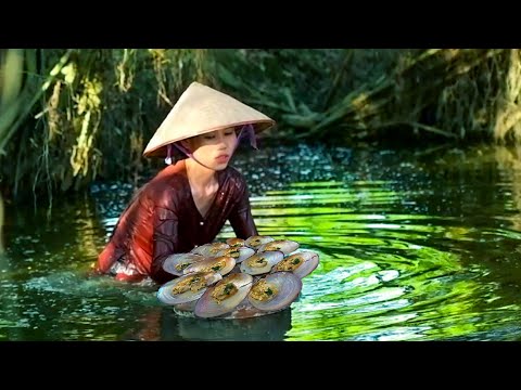 Harvest bamboo shoots - vegetables garden - Cook delicious dishes for the family | Mai Nha Tranh