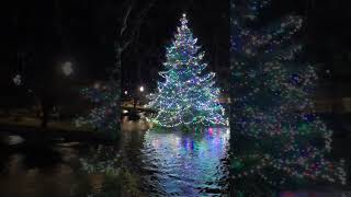 Christmas tree in the river