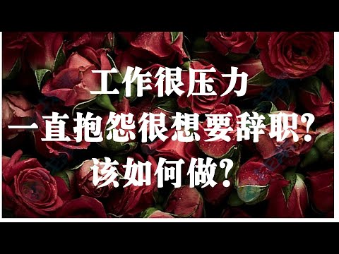 【激励能量】#能量灯 #工作很压力一直抱怨很想要辞职？该如何做？