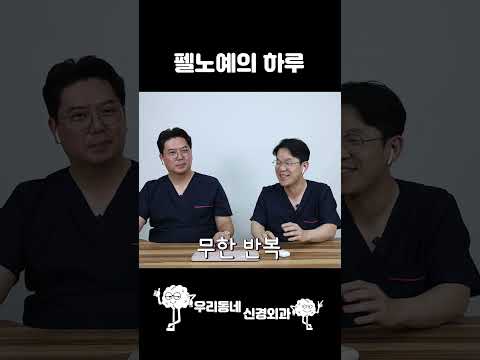 펠로우의 하루 #shorts