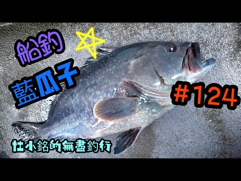 杜小銘的無盡釣行#124_#釣魚 #香港釣魚 #釣り #艇釣 #船釣 #雞魚 #白鱲 #誘餌籠 #搖籠 #五目釣り #藍瓜子 #赤鱲 #真鯛 #鱲魚 #外海 #瓜子斑 #石斑 #泥鯭 #星臭肚