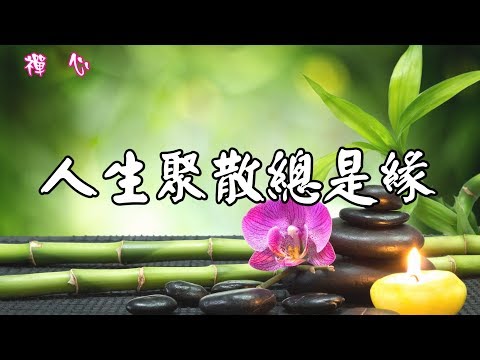 ☯【禪心】人生聚散總是緣