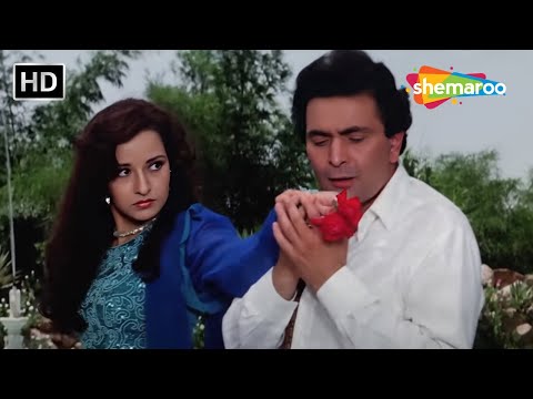 मैं एक सवाल पूछु तुमसे | Mai Ek Sawal Puchhu | Mohabbat Ki Arzoo(1994) | Rishi Kapoor, Zeba Bakhtiar