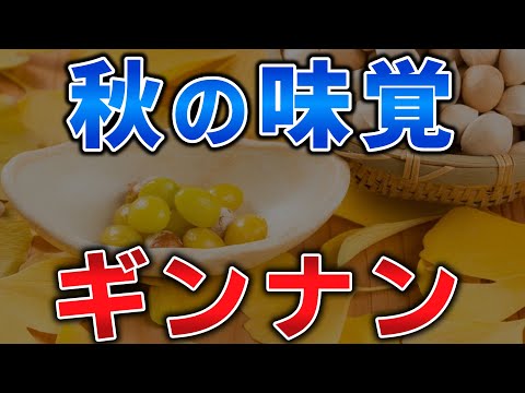 ゆっくり毒物vol.85　ギンナン【ゆっくり解説】