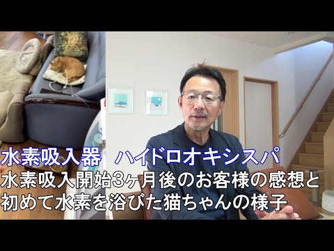 70．【猫と水素吸入】水素吸入開始３ヶ月後の体の変化を話していただきました　水素シャワーを初めて浴びた猫ちゃんの様子【水素吸入器ハイドロオキシスパ】【個人さま宅　山口県】