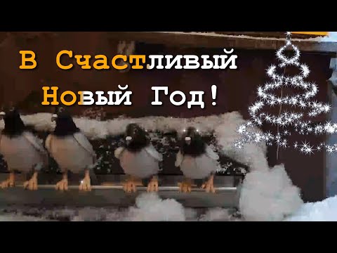 С Наступающим Новым Годом 2025! - Кому билетики В Счастливый Новый Год 2025? Караоке Поздравление.