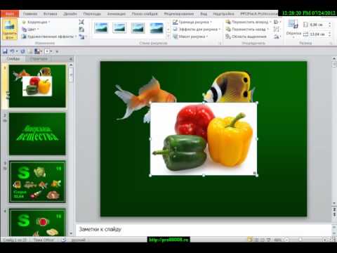 Видео уроки PowerPoint  Удаление фона рисунка