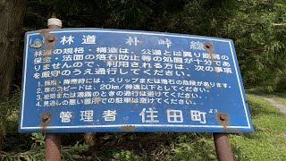 岩手県住田町「林道　朴峠線」⛰