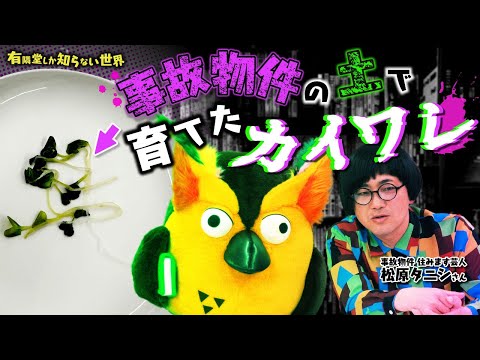 【食べます】事故物件の土で育てた野菜の世界 ～有隣堂しか知らない世界227～