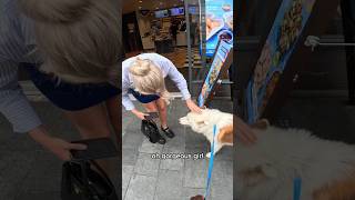 Interactions with my dog!! #husky #yourubeshorts #shorts #viral #puppy #beautiful #pets #petlovers