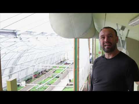 Commercial Scale Passive Solar Greenhouse - Case Study