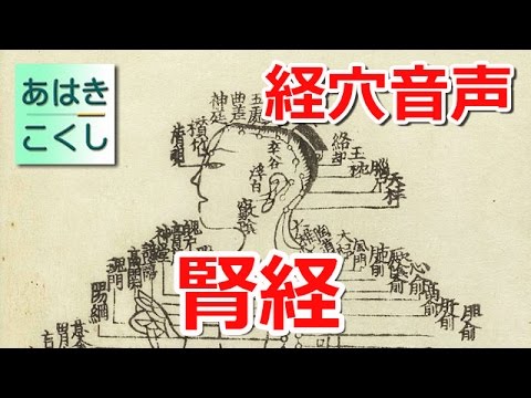 経穴 暗記用音声 足の少陰 腎経 [あはきこくし]