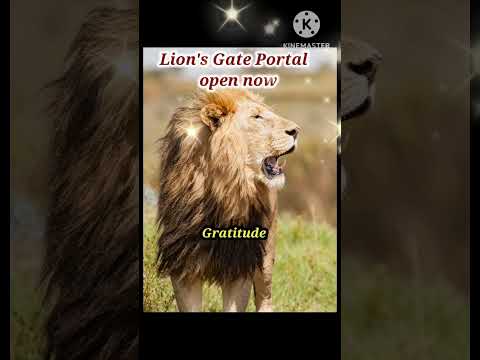 🦁Lion's Gate Portal #88portal #lionsgateportal #viral #8august @taaronkiduniya