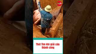 Thót Tim khi giải cứu thành công  #shots #tintuc #tin