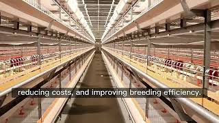 Poultry Equipment Unmanned H Type Broiler Cage Battery Chicken Cages for sale