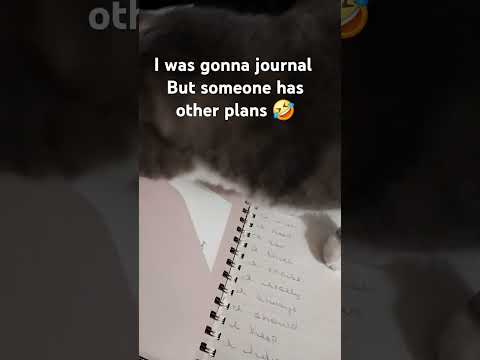 #florida #journal #journalformentalhealth #bengalcat #cat