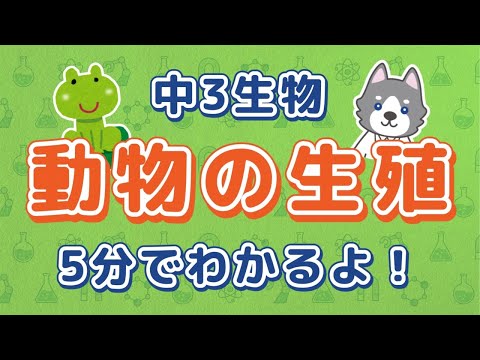 中3理科『動物の有性生殖』