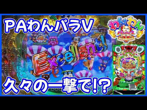 【PAわんわんパラダイスV】久々のわんパラで爆連！？