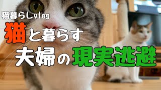 【現実逃避】猫と夫婦／日常の暮らし／アルパカに会いに行く