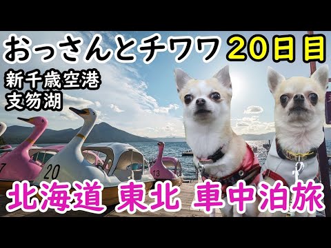 【20日目】おっさんとチワワの北海道東北車中泊旅。新千歳空港、支笏湖、サーモンパーク千歳、恵庭渓谷、苫小牧。