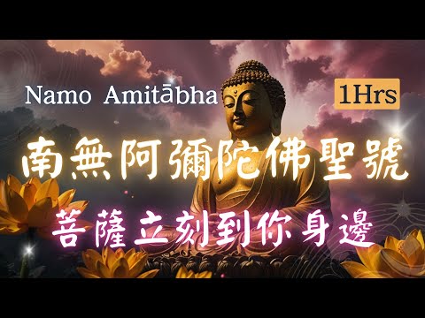 1hrs   南無阿彌陀佛聖號 Namo Amitabha， 每日一念，福報相隨，放下執念   #南無阿彌陀佛 #宇宙貝拉 #佛