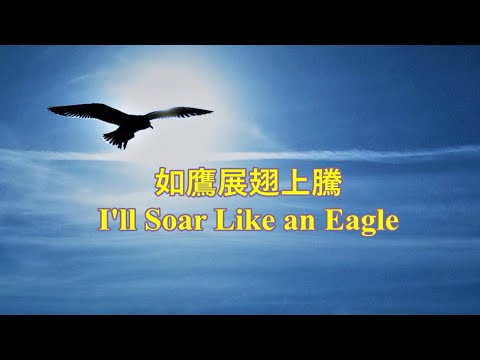 如鷹展翅上騰 / 小提琴獨奏 / I'll Soar Like an Eagle / Violin Cover by Shang Quan