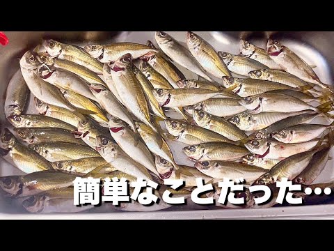 アジングで釣れない理由が判明した衝撃の結果