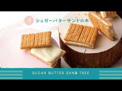 品牌形象-小編推薦-預購 SUGAR BUTTER TREE 經典原味砂糖奶油夾心餅乾