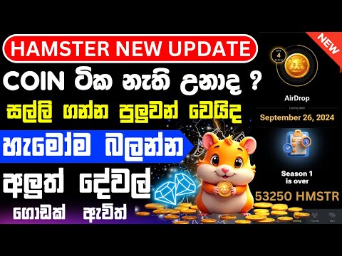 Hamster airdrop new update sinhala | hamster season 2 | Hamster telegram airdrop