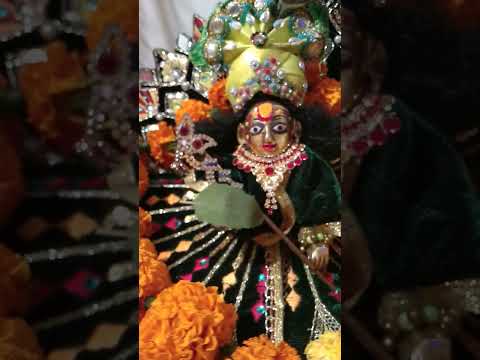 He Gurudev krisn ham sabka pranam apke charno me#love #krishna #youtube #shortsvideo #viral