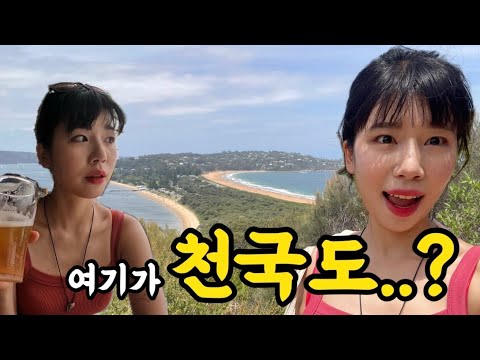 🇦🇺지구에 이런곳이? 해변이 맞닿은 기이한 천국도 체험, 팜비치 [호주워홀20]