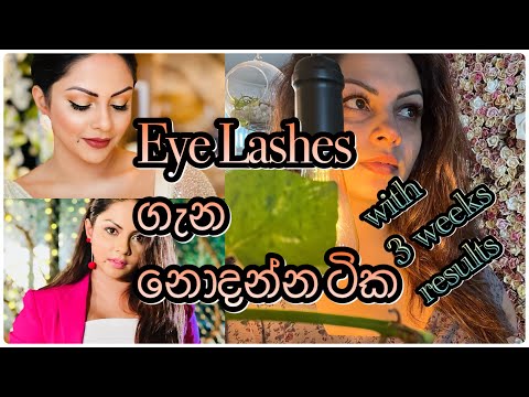 Lashes ගැන නොදන්න ටික