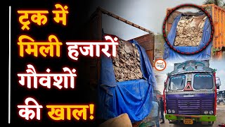 Durg में पकड़ाया Maharashtra का Truck | तालपत्री हटा तो दंग रह गए | हजारों Cattles के Skin |