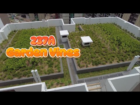 TENGAH 🗝️237A GARDEN VINES