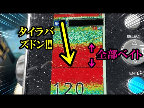 真夜中に大量のべイトの中にタイラバを落としてみたら魚が錯乱状態に・・・！！？【ディープタイラバ】