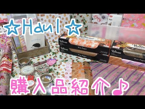 Haul ダイソー&東急ハンズ購入品紹介♪