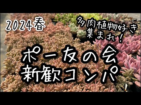 【多肉植物】2024春 ポー友の会新歓コンパ 2024.05.06