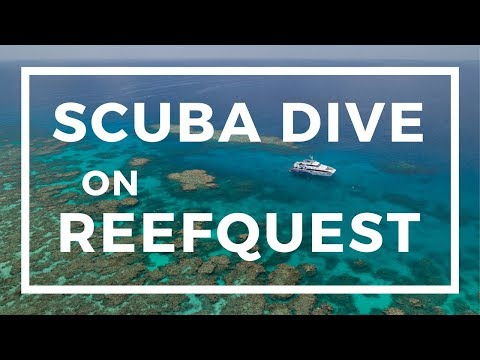 Scuba Diving on ReefQuest - Great Barrier Reef