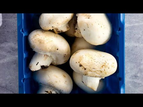 Easy and simple mushroom curry at home.