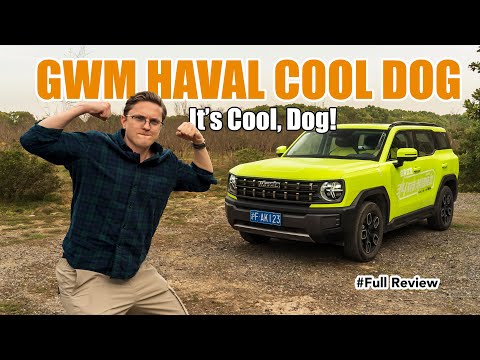 The Haval Cool Dog Is a Stylish Compact SUV