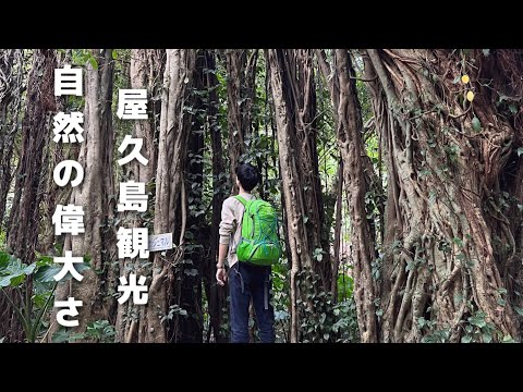 【屋久島旅行】屋久島最終日も自然に圧倒されました!  / vlog