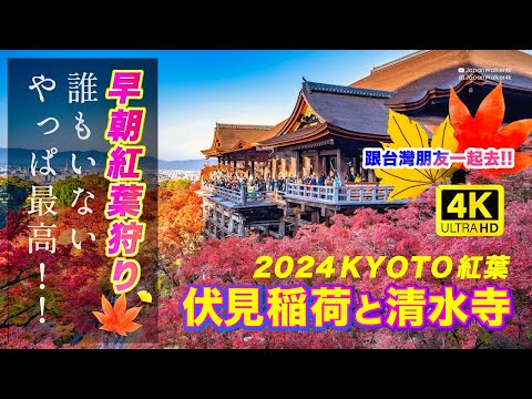 Best Time for Fall Foliage at Kiyomizu-dera! 🍁 | Early Morning Visit & Kyoto Shrine #Autumn2024